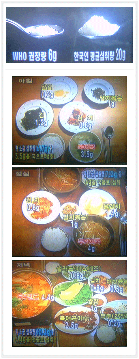 한국인 식단 소금 섭취량
