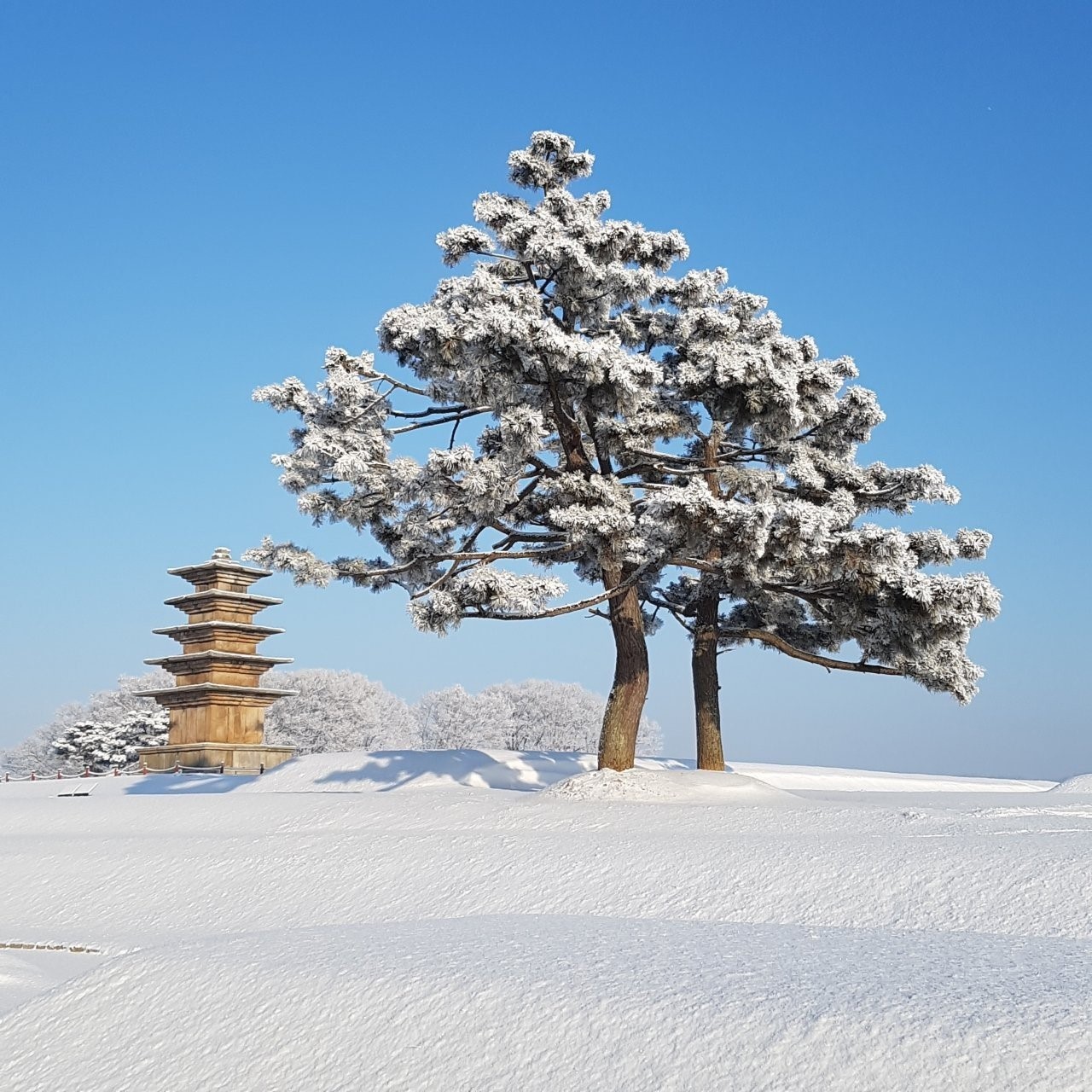 김종철, 왕궁리오층석탑의 겨울 풍경