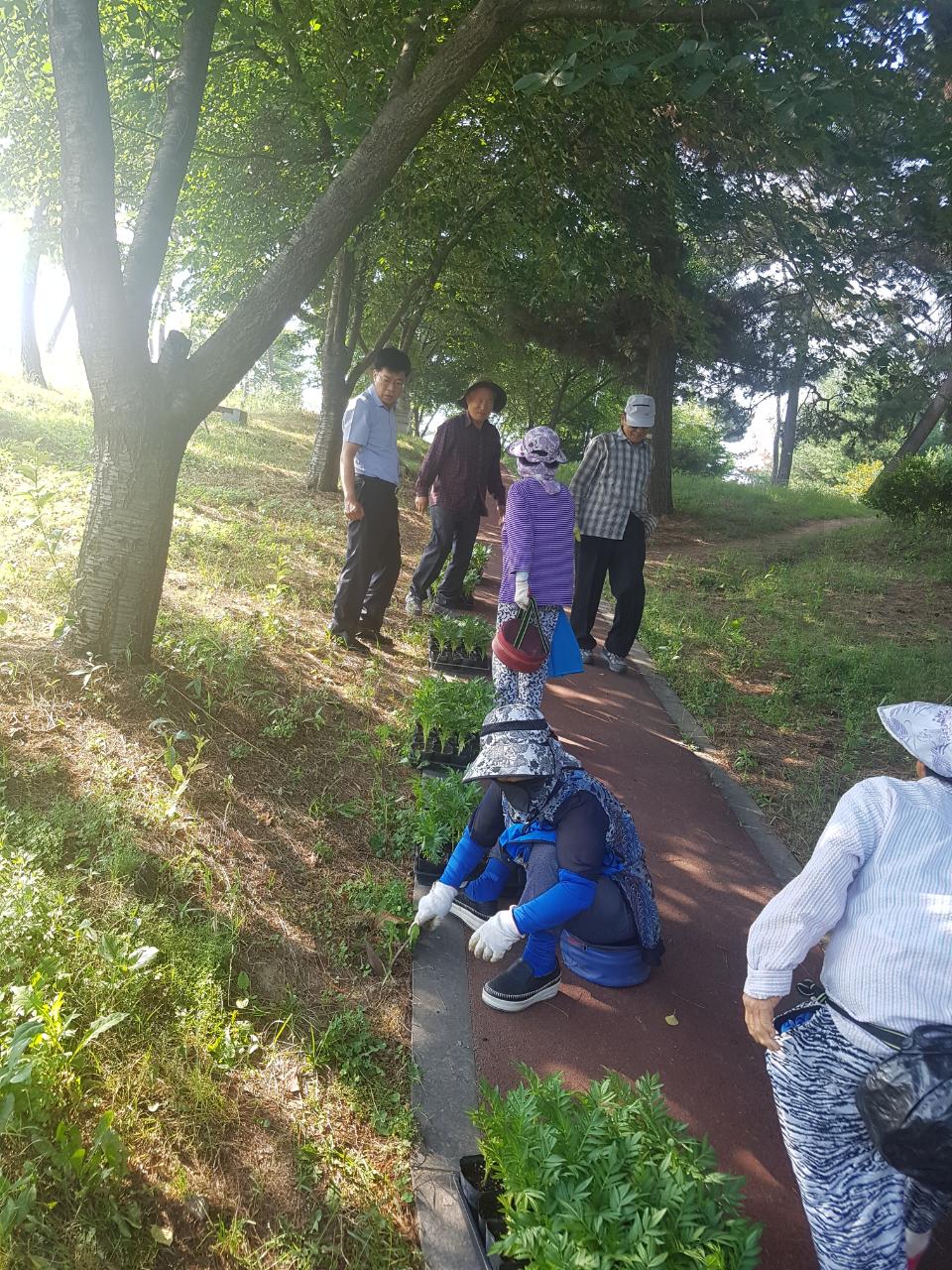 주민자치위원 아사달공원 환경정비 활동3