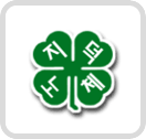 4-H 마크