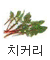 치커리