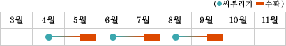 시금치 재배순기표