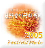 2005 천만송이국화축제