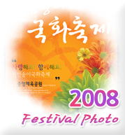 2008 천만송이국화축제