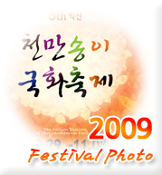 2009 천만송이국화축제