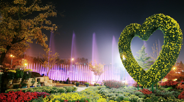 Festival image number 2