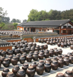 농촌체험시설