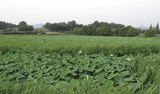 마룡지 전경