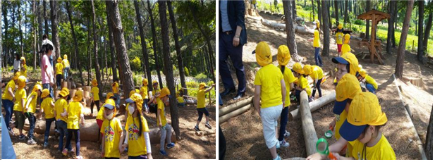 유아숲체험 운영사진