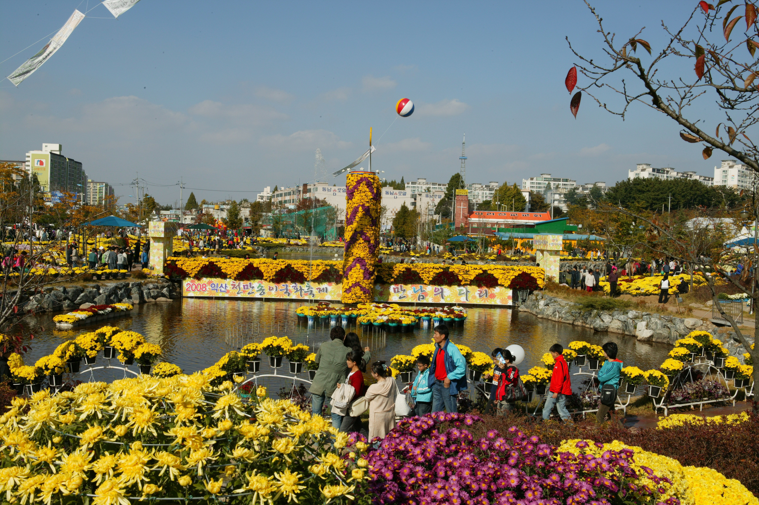 국화축제 썸네일