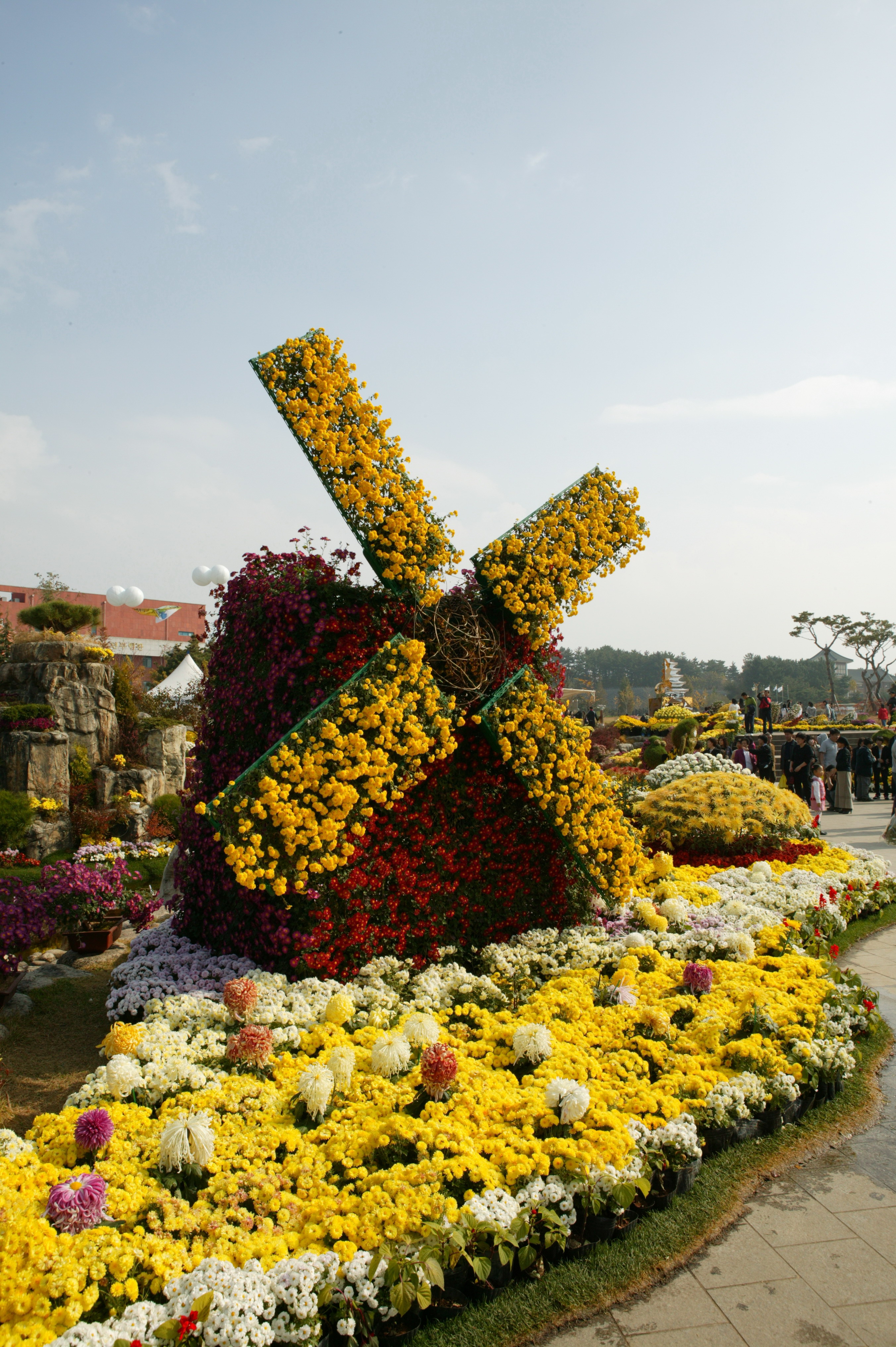 국화축제 썸네일