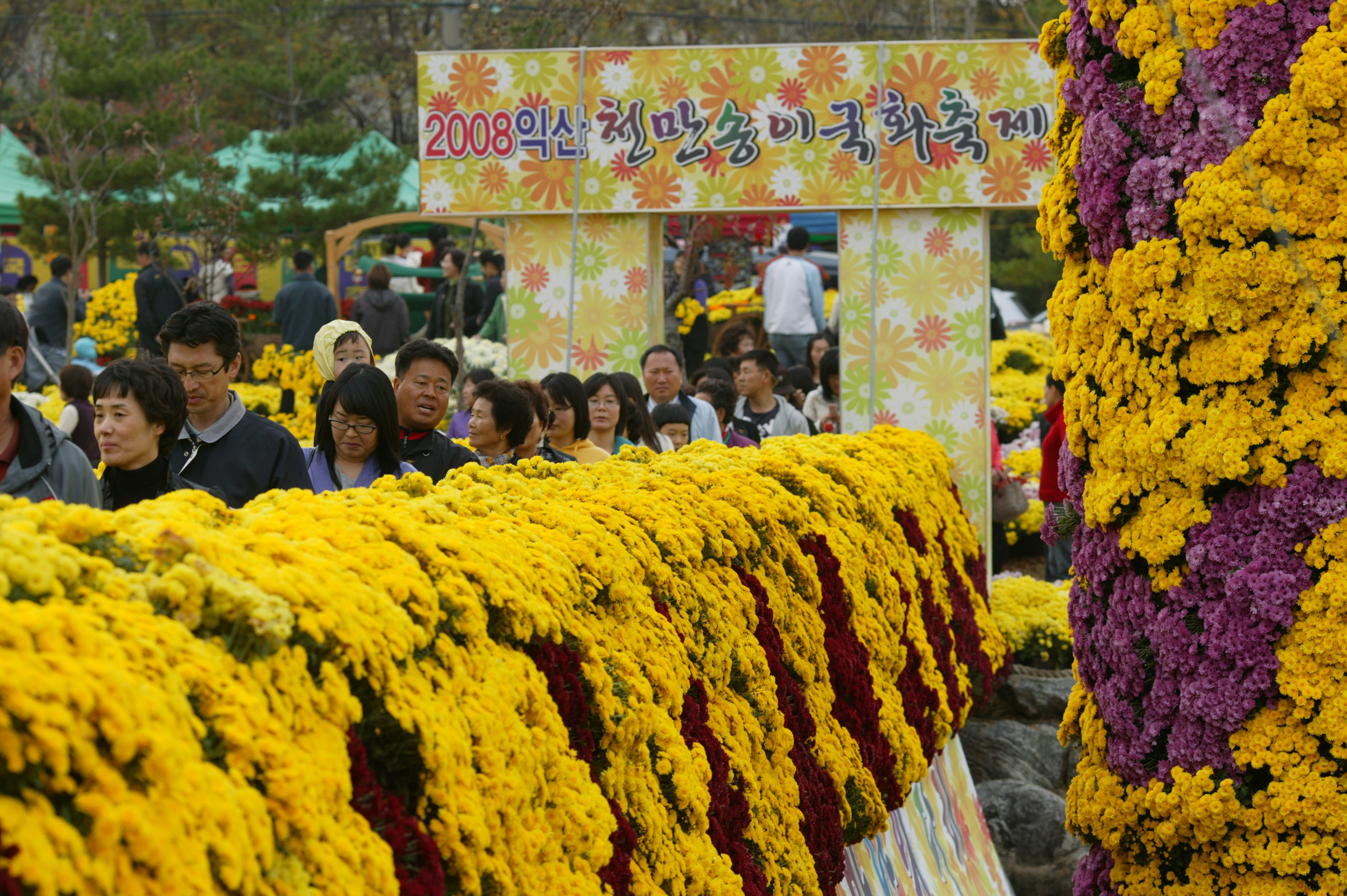 사랑의 다리 썸네일