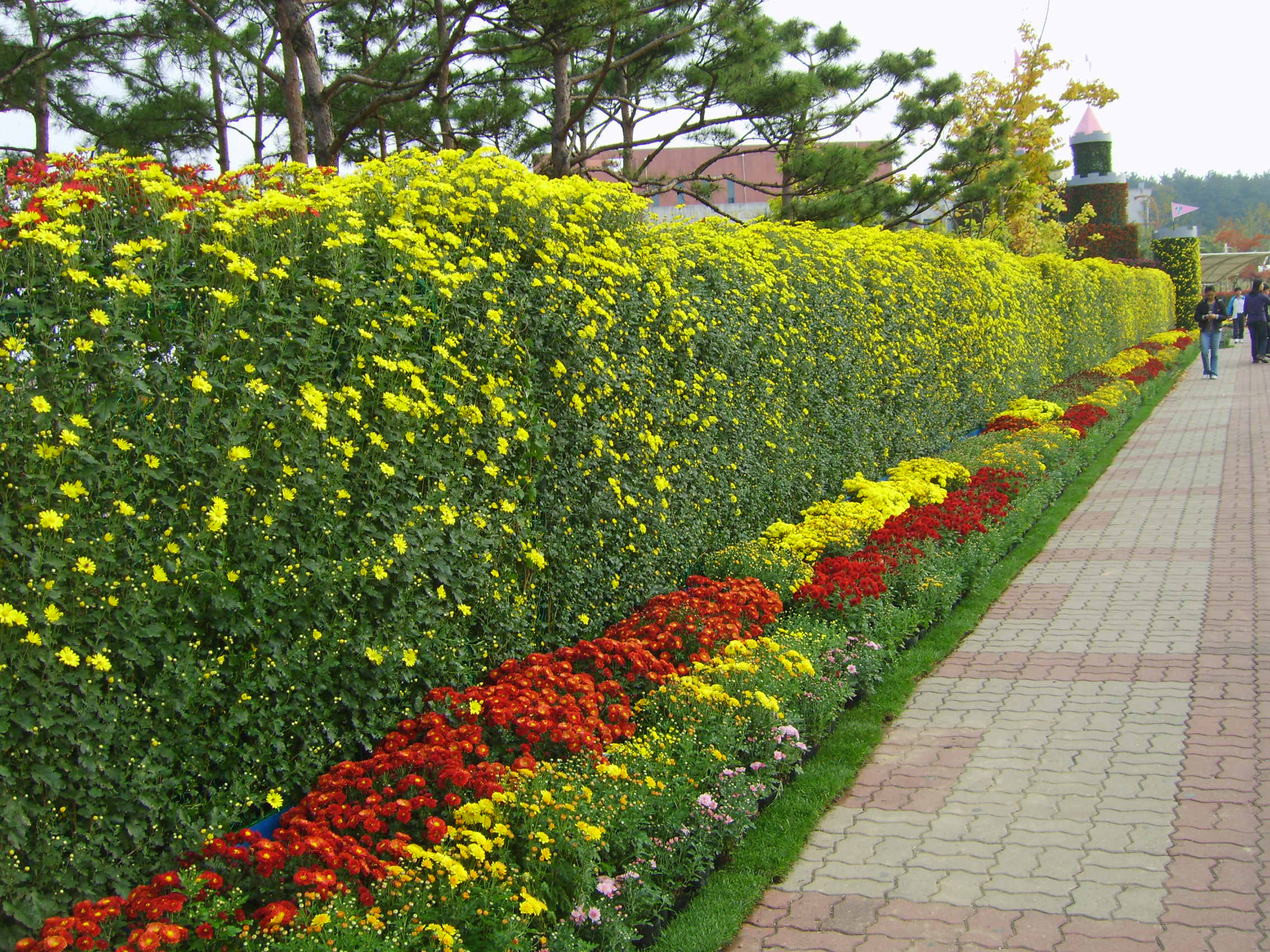 행복 성벽 썸네일