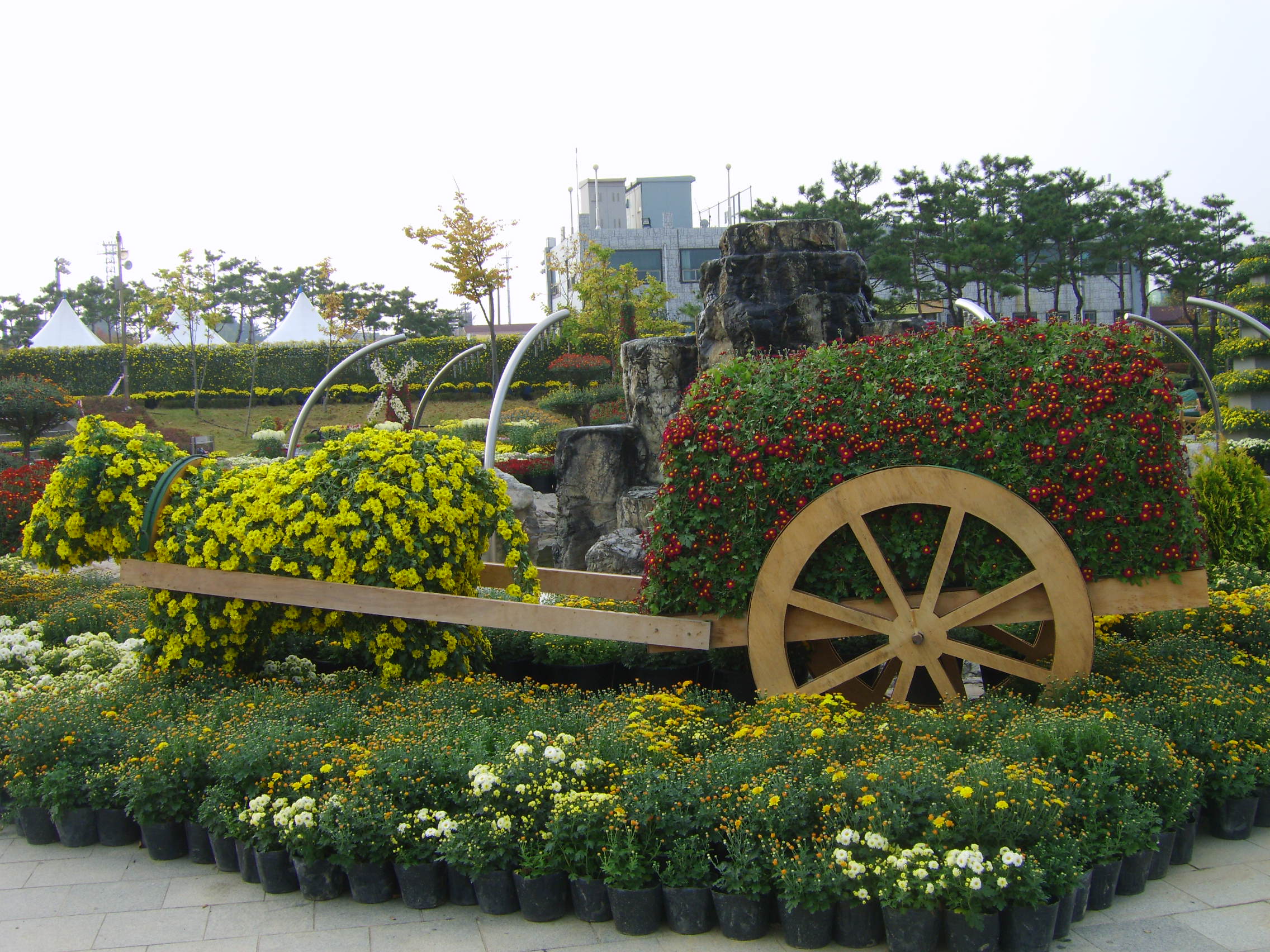 소와 마차 썸네일