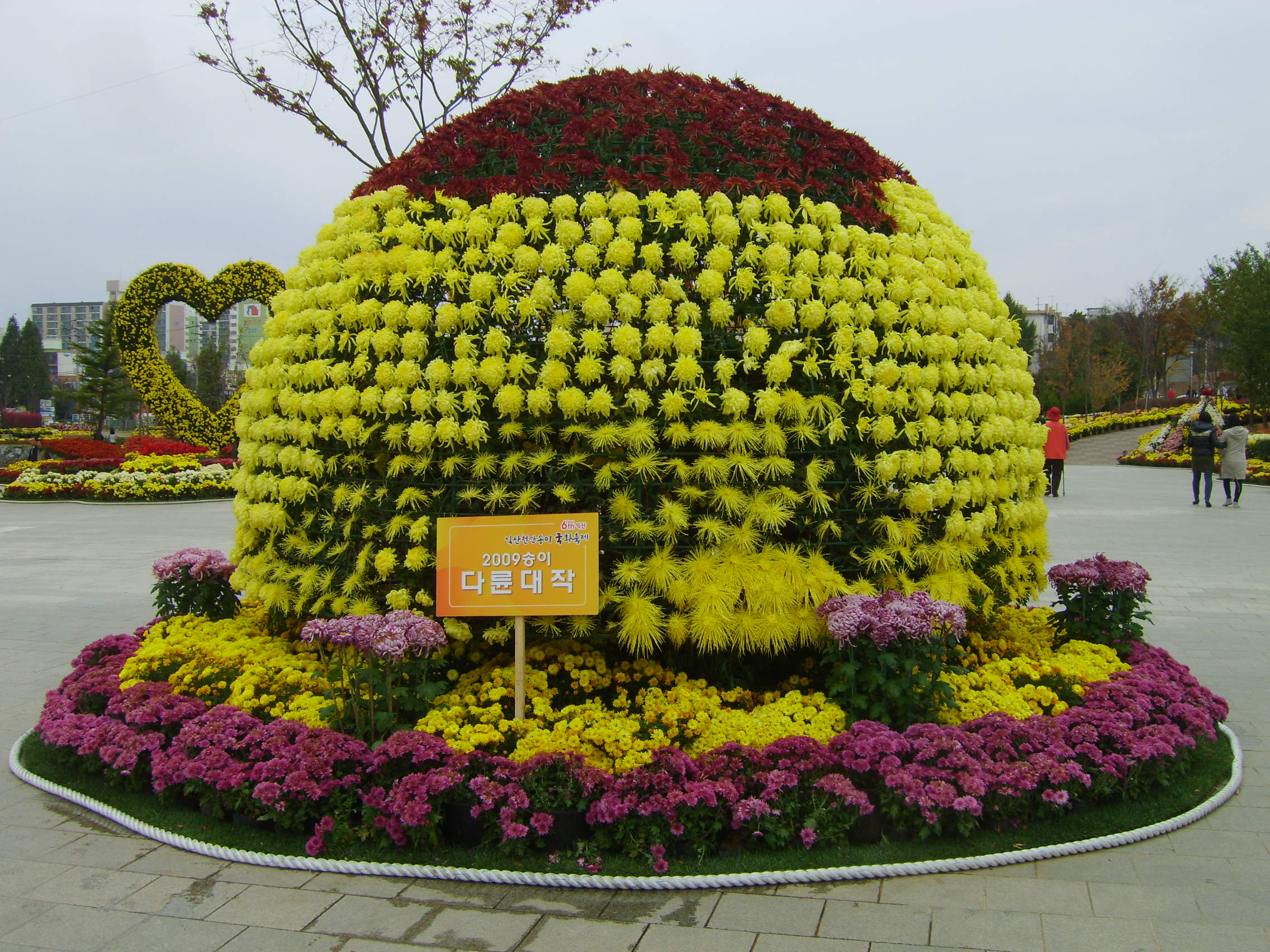 제6회 익산천만송이국화축제 썸네일