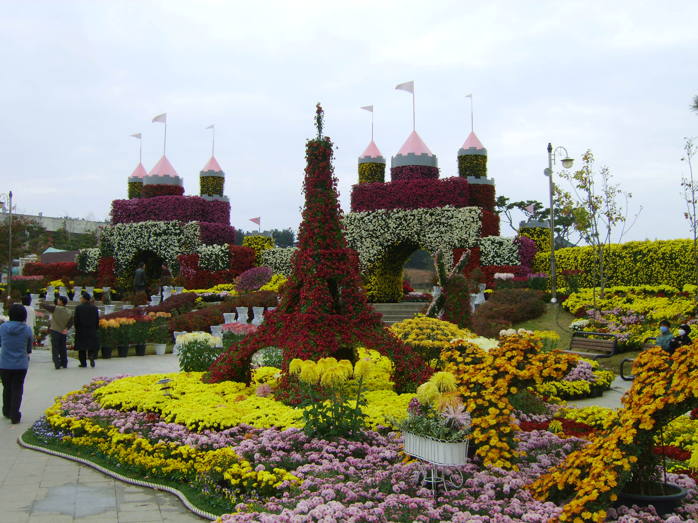 제6회익산천만송이국화축제 썸네일