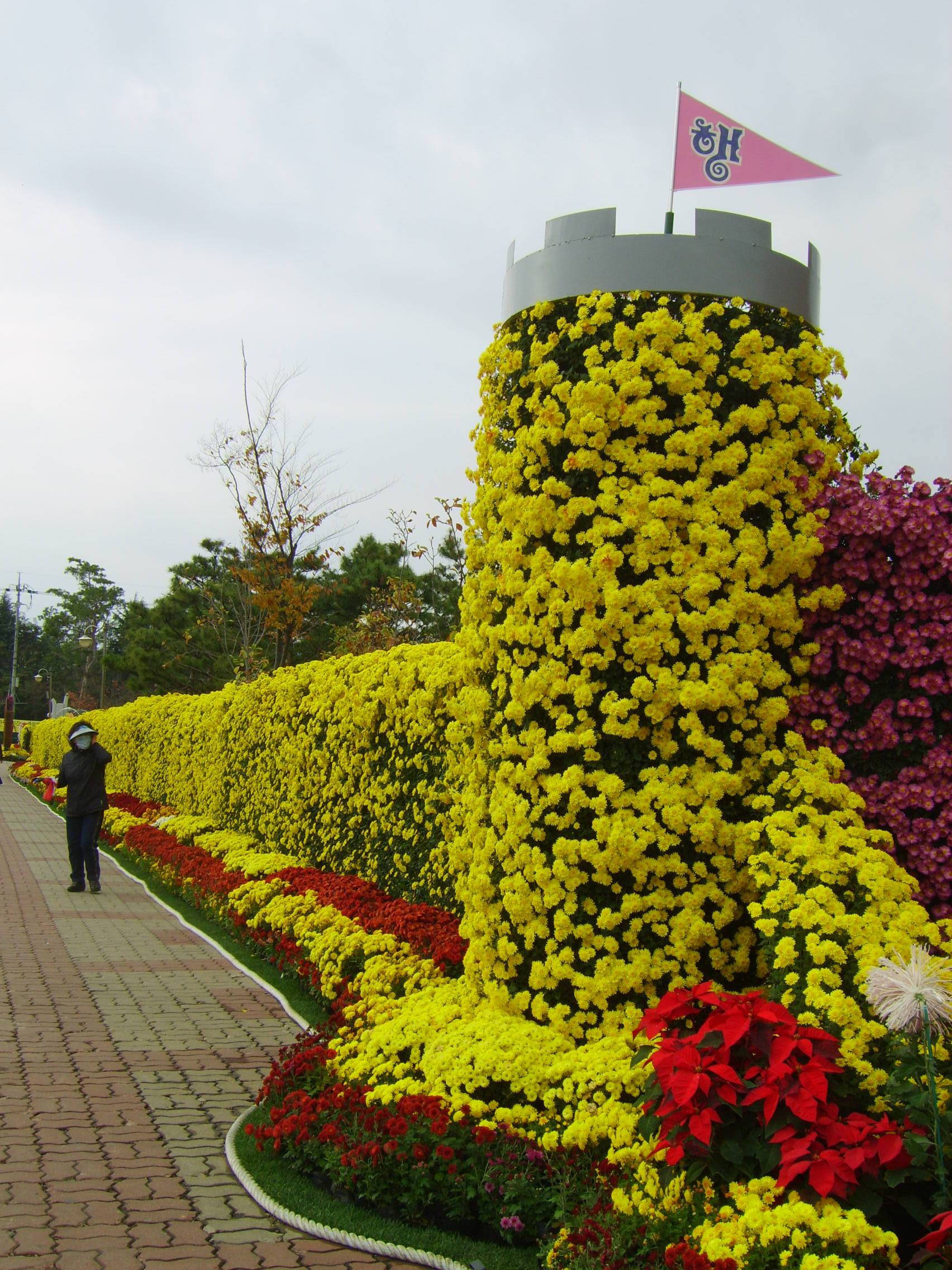 제6회 익산천만송이국화축제 썸네일