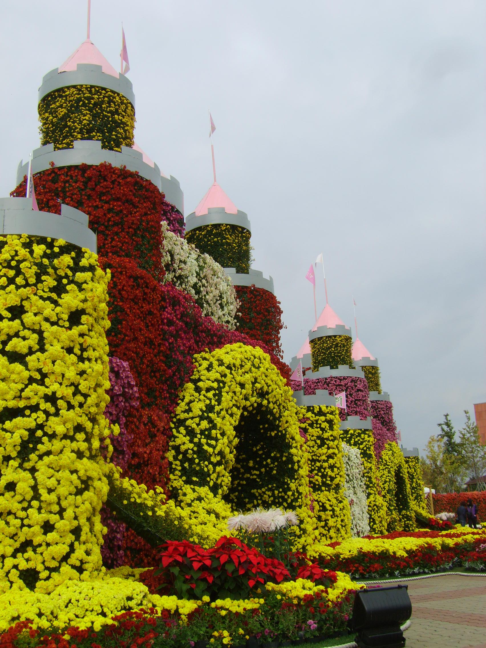 제6회 익산천만송이국화축제 썸네일