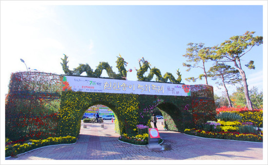 도전의 문 썸네일