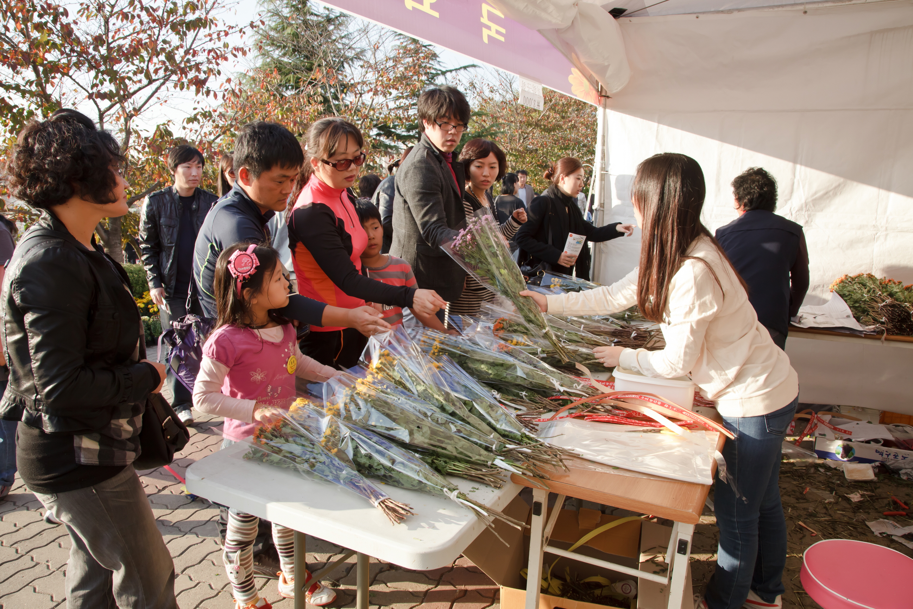 국화꽃을 사는 사람들 썸네일