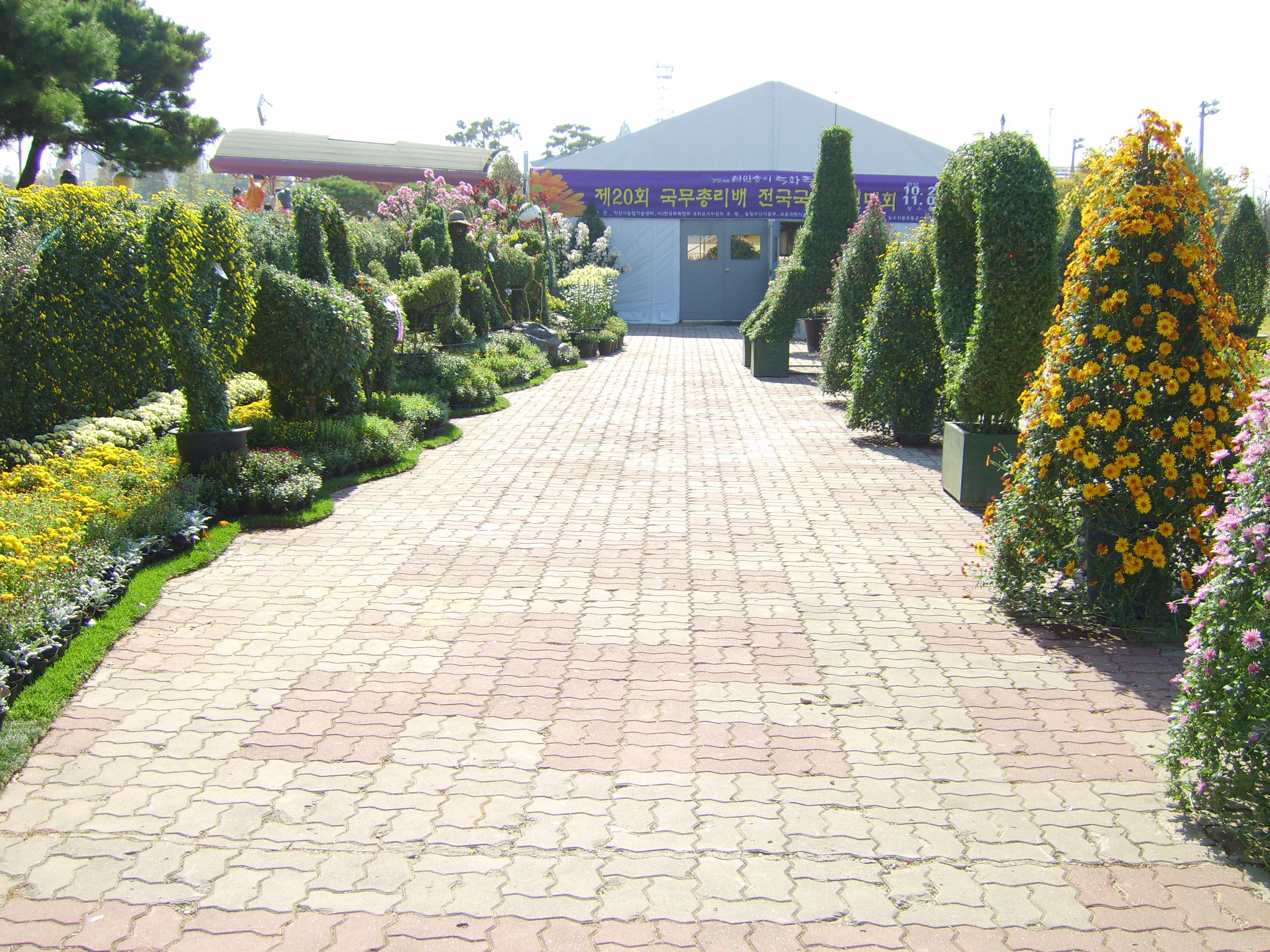 전국국화작품경진대회 썸네일