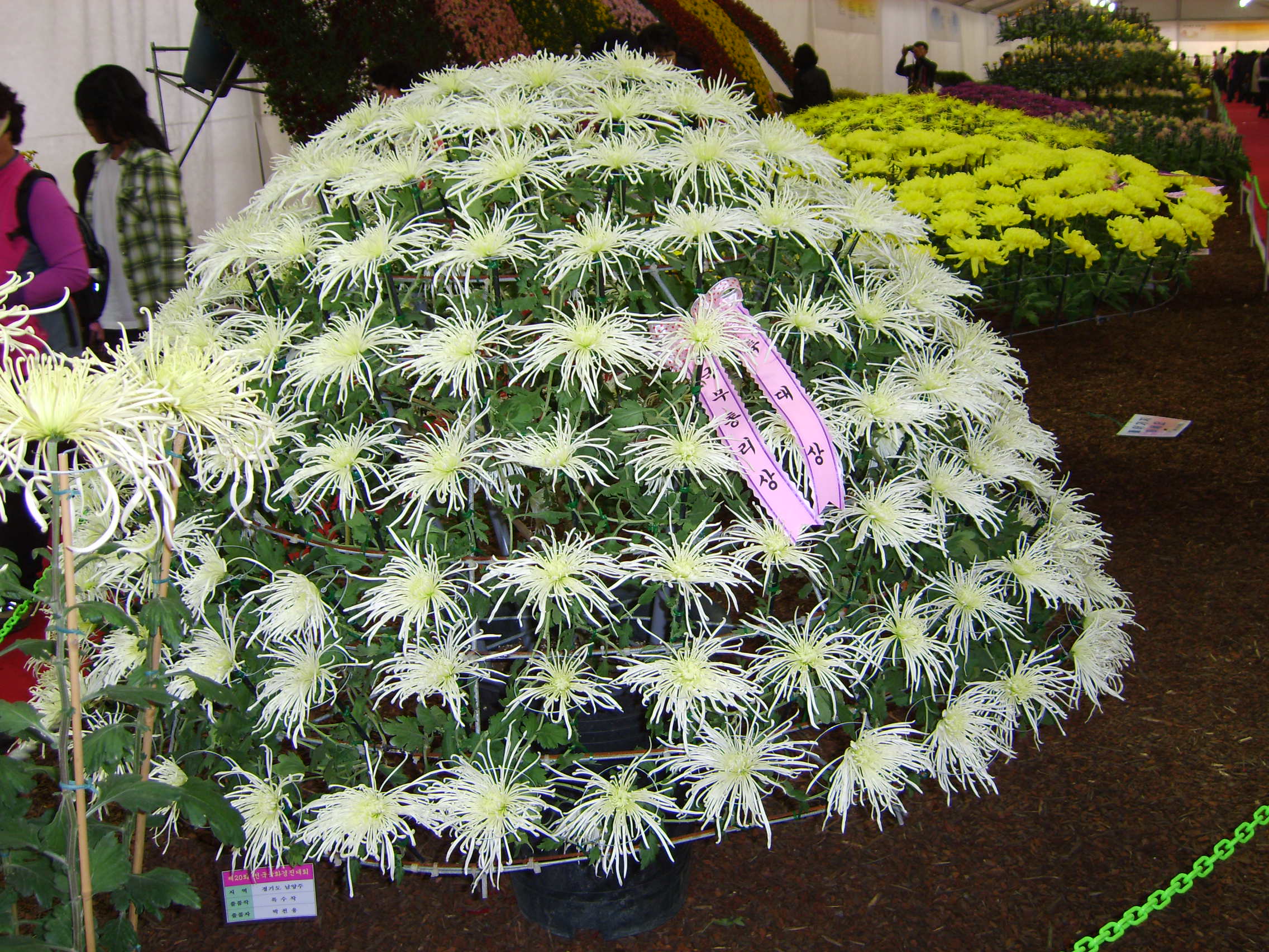 대상수상 썸네일