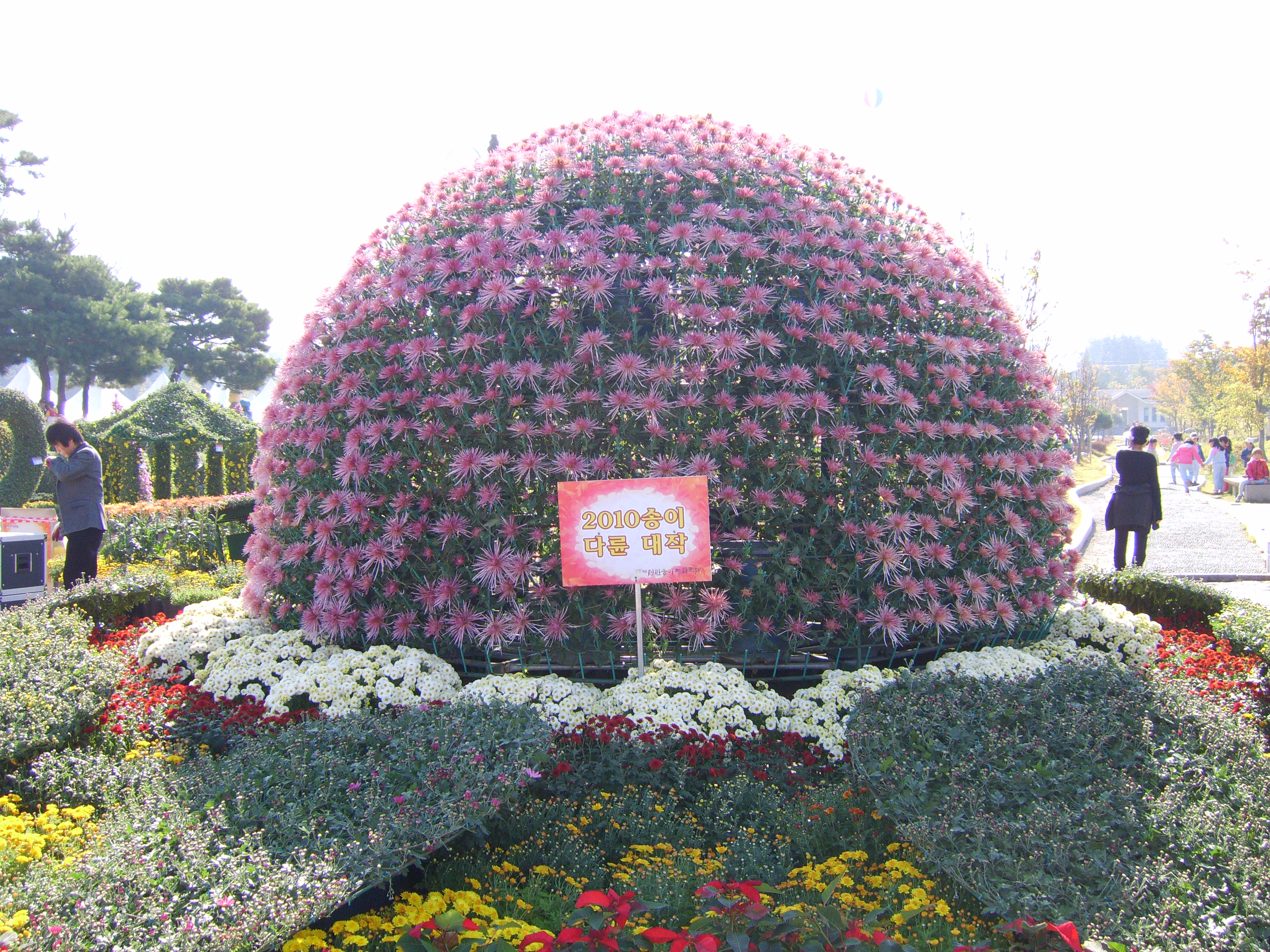 2010희망 썸네일