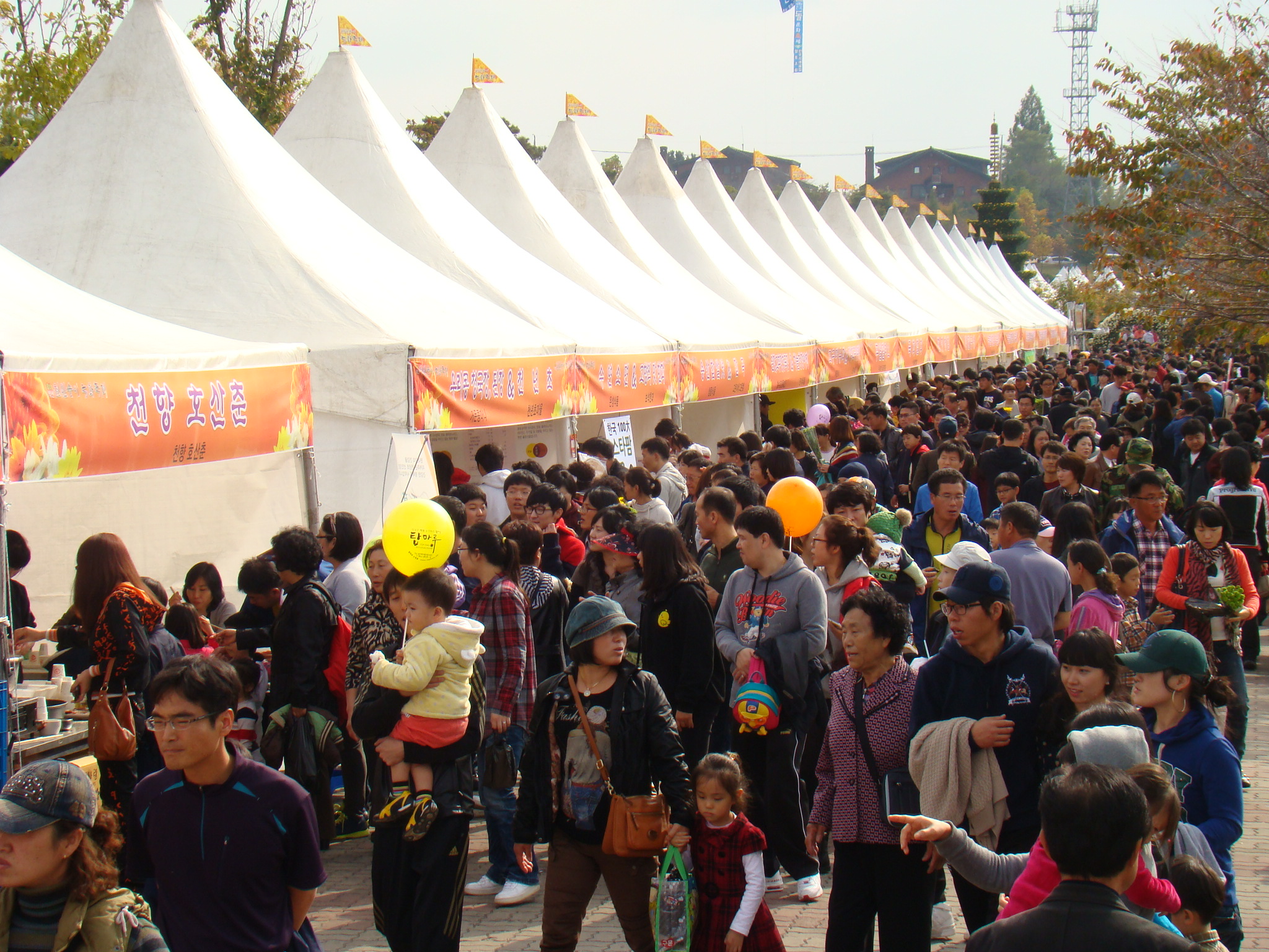 농산물 직거래장터 썸네일