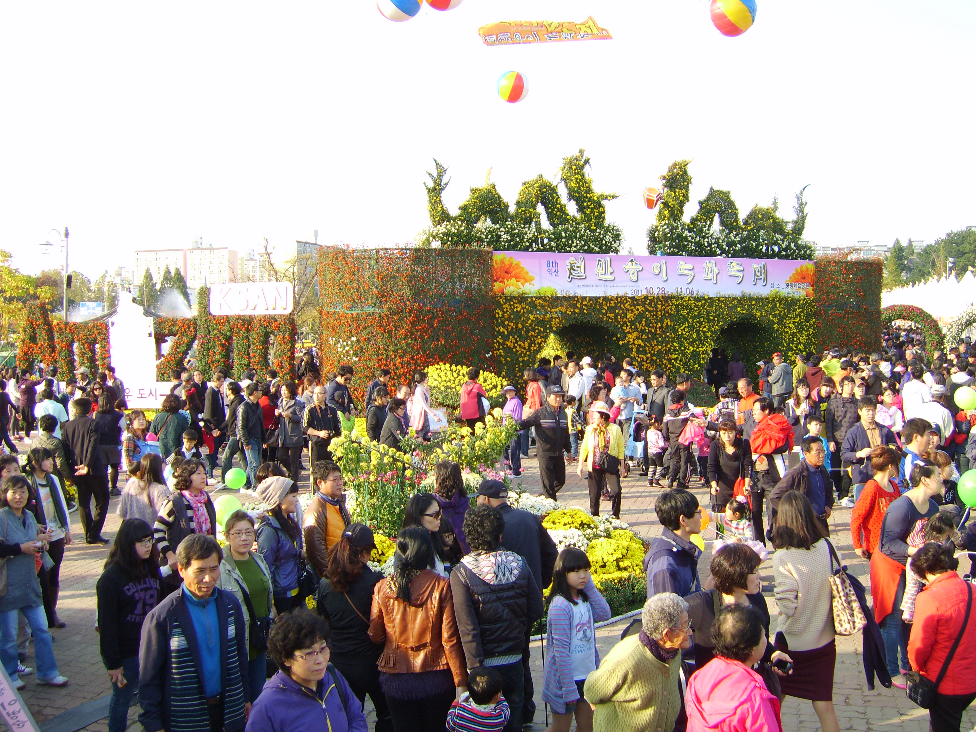 고도의문 썸네일