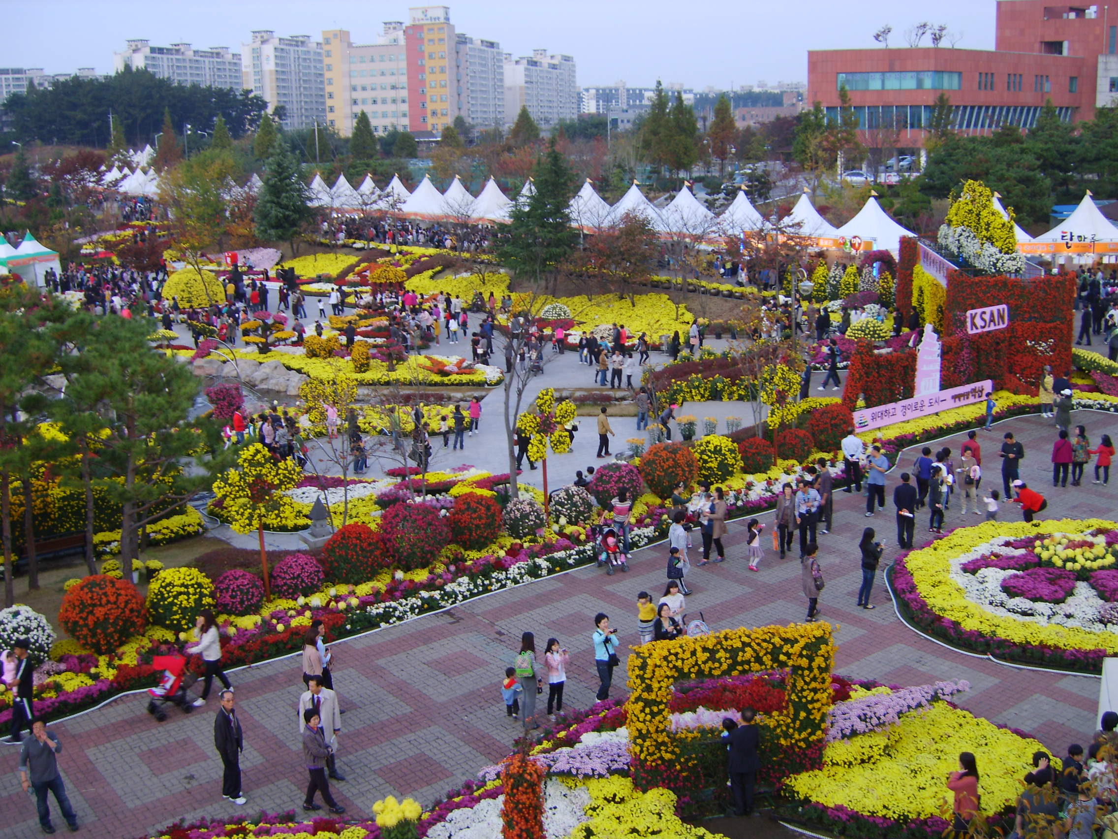 축제장 전경 썸네일