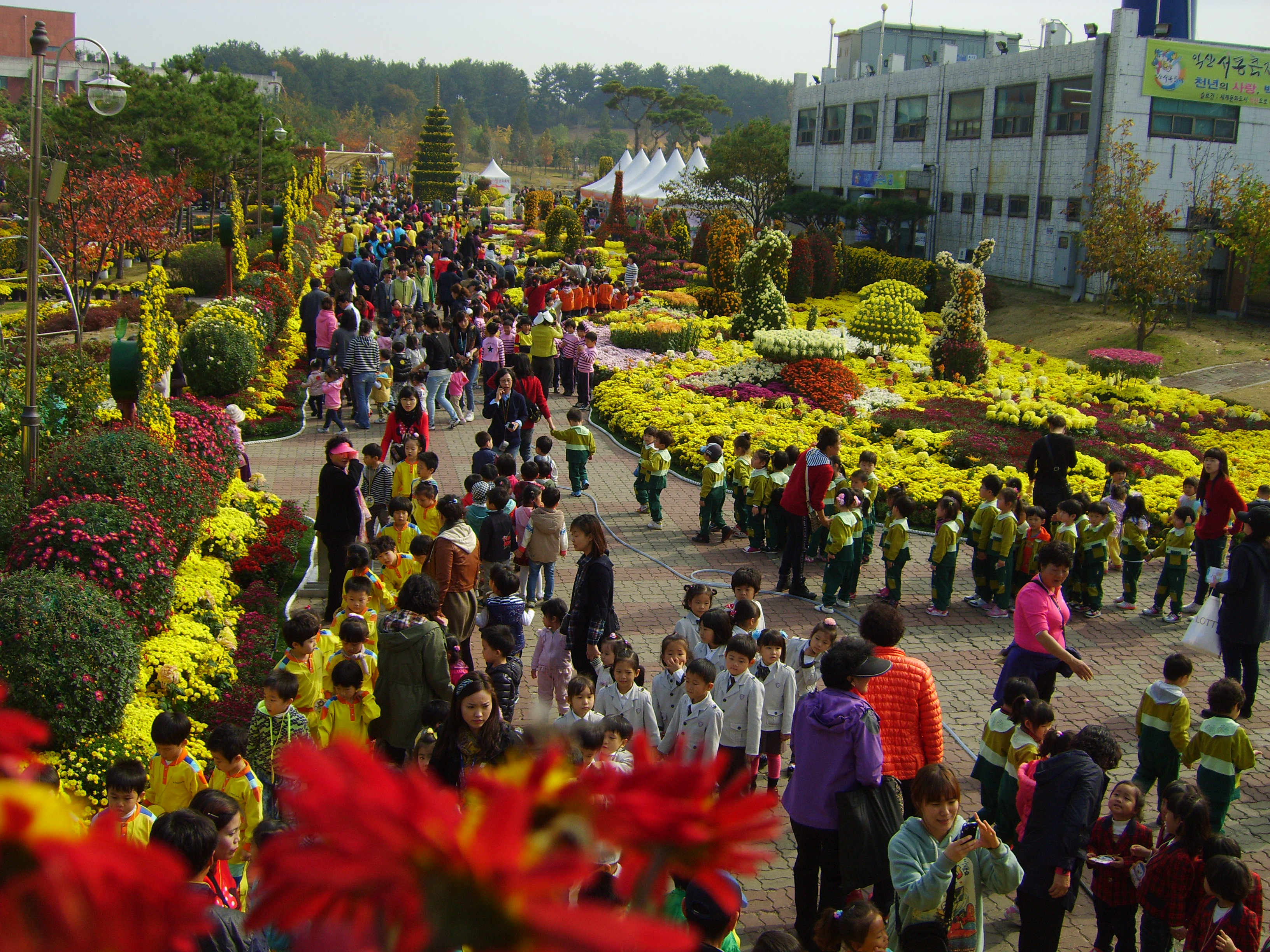축제장전경 썸네일