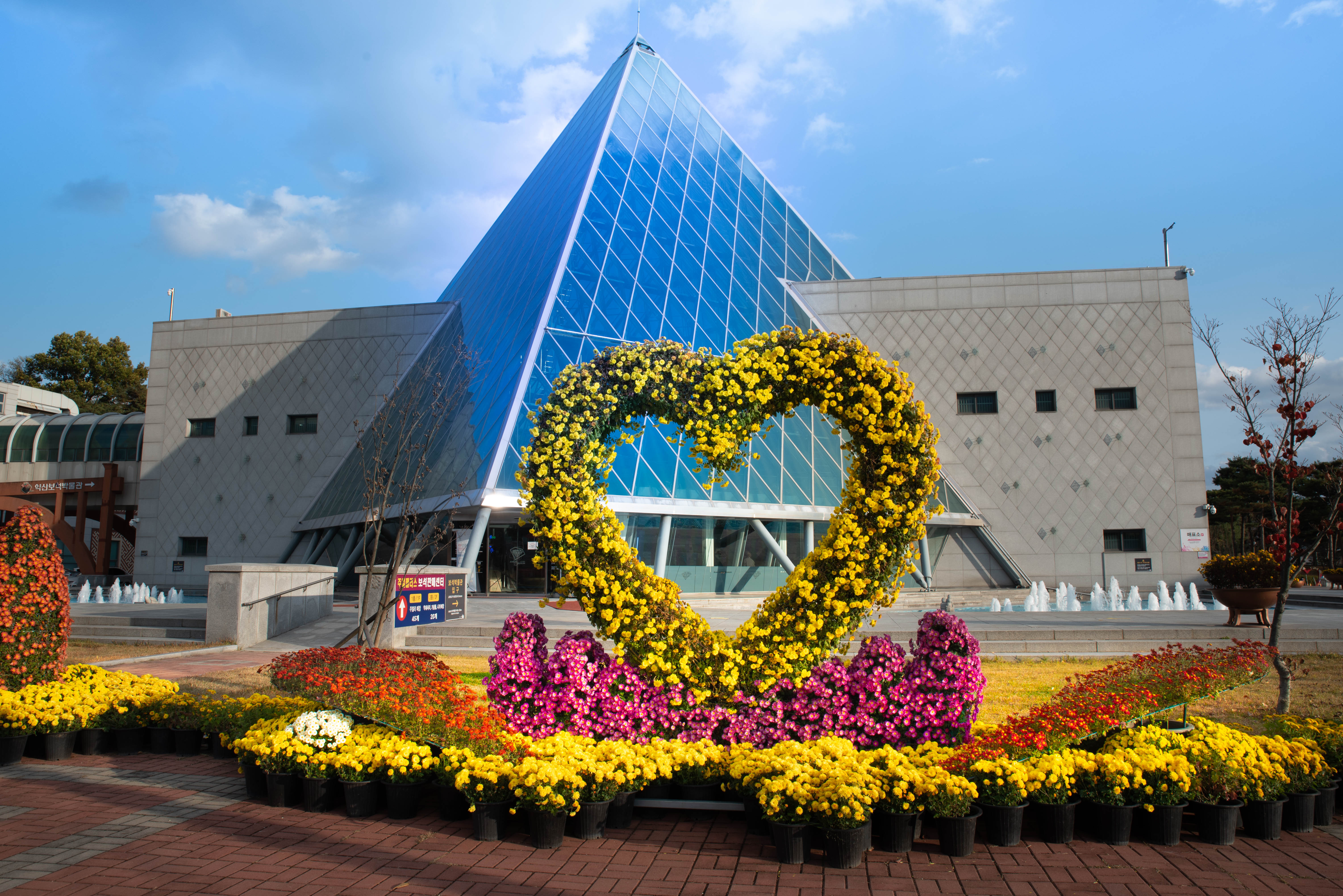 다이로움익산 국화전시 2020-주얼팰리스 썸네일