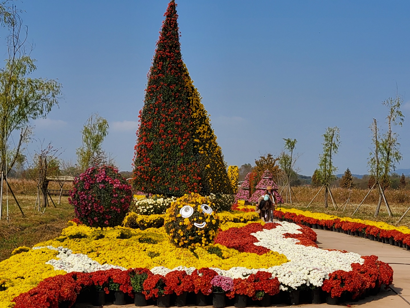 2021 익산 천만송이 국화전시회_용안생태습지 썸네일