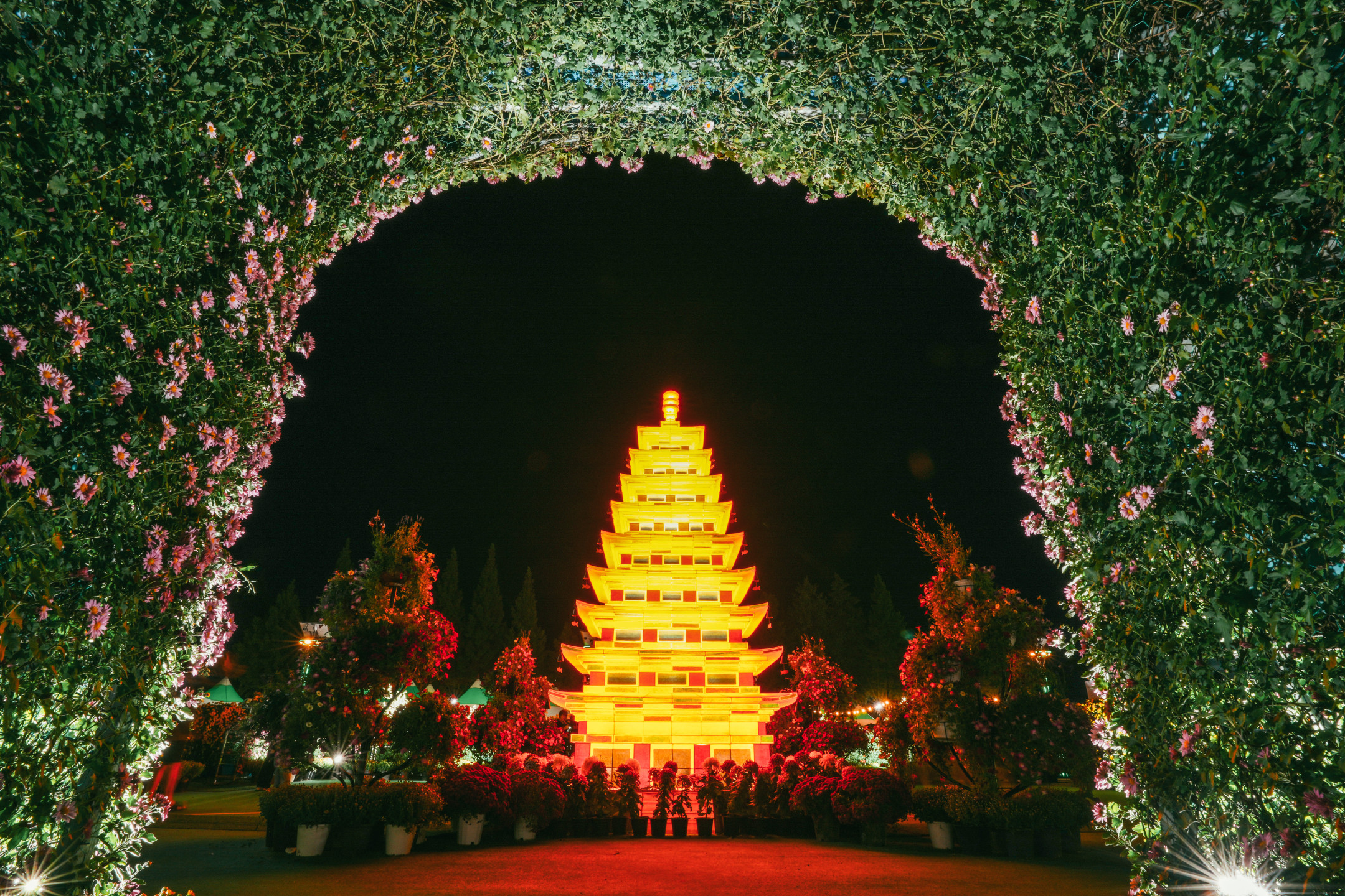 제21회 익산 천만송이 국화축제 야경2 썸네일