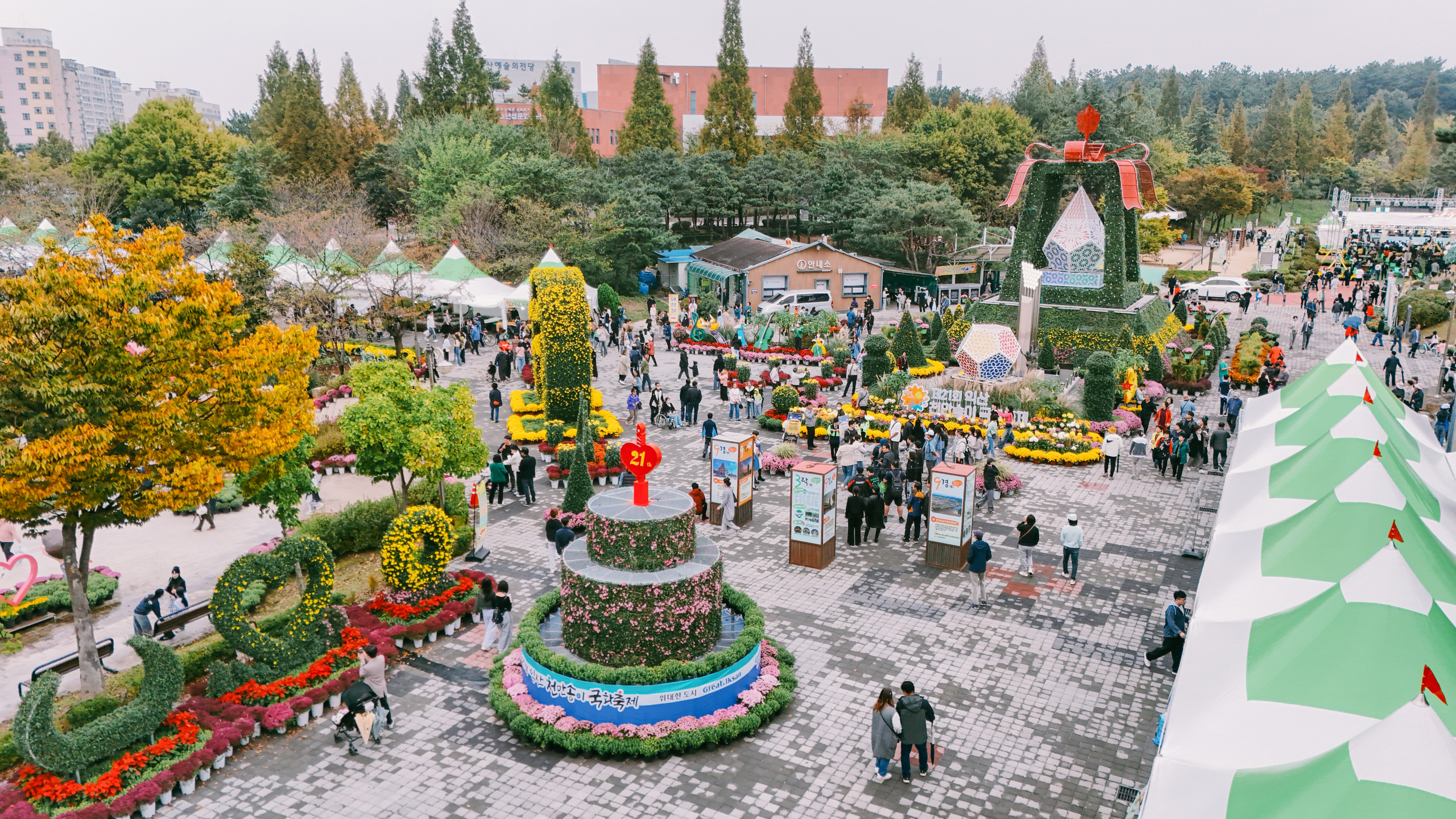 제21회 익산 천만송이 국화축제 썸네일