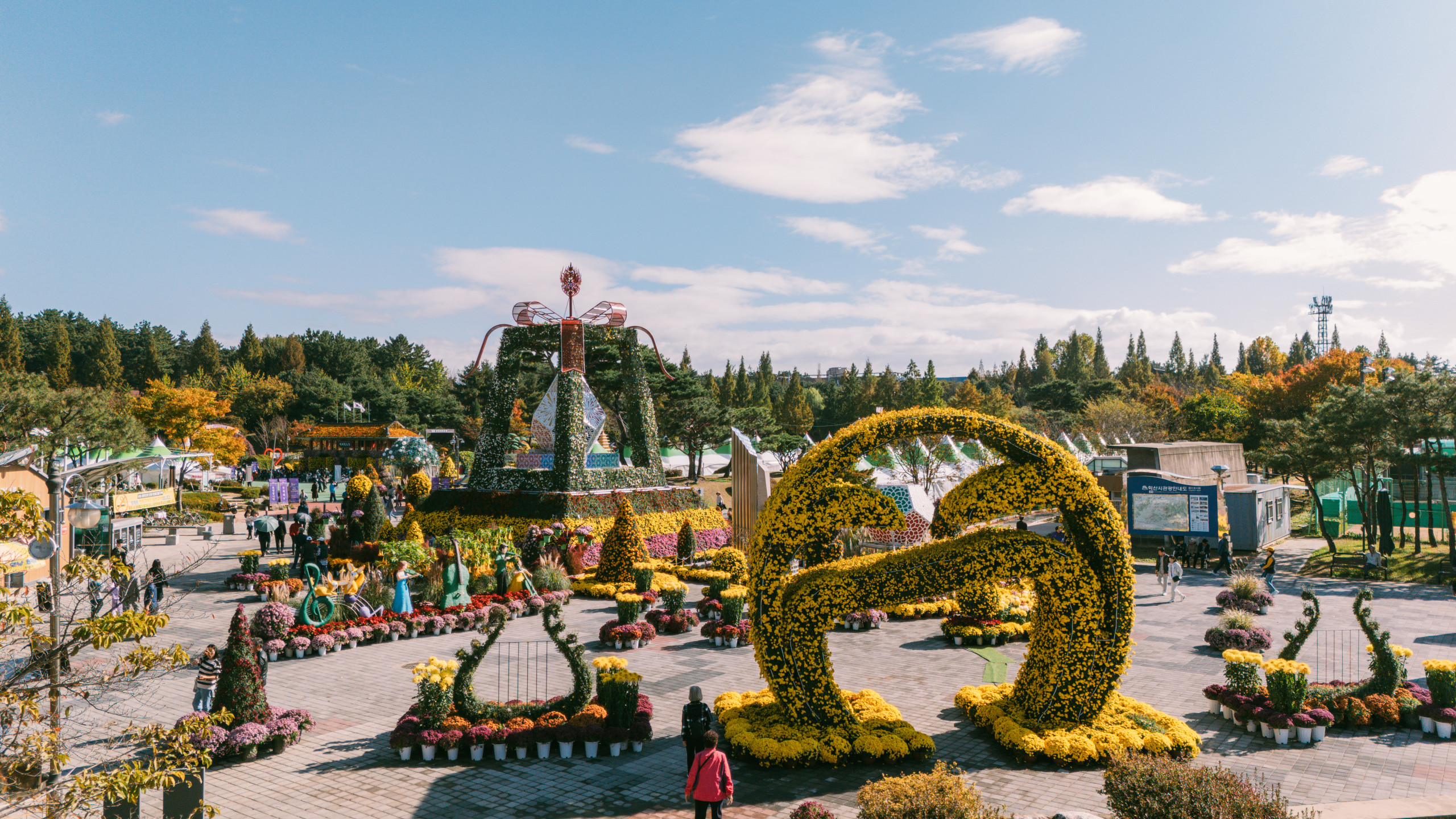 제21회 익산 천만송이 국화축제 썸네일