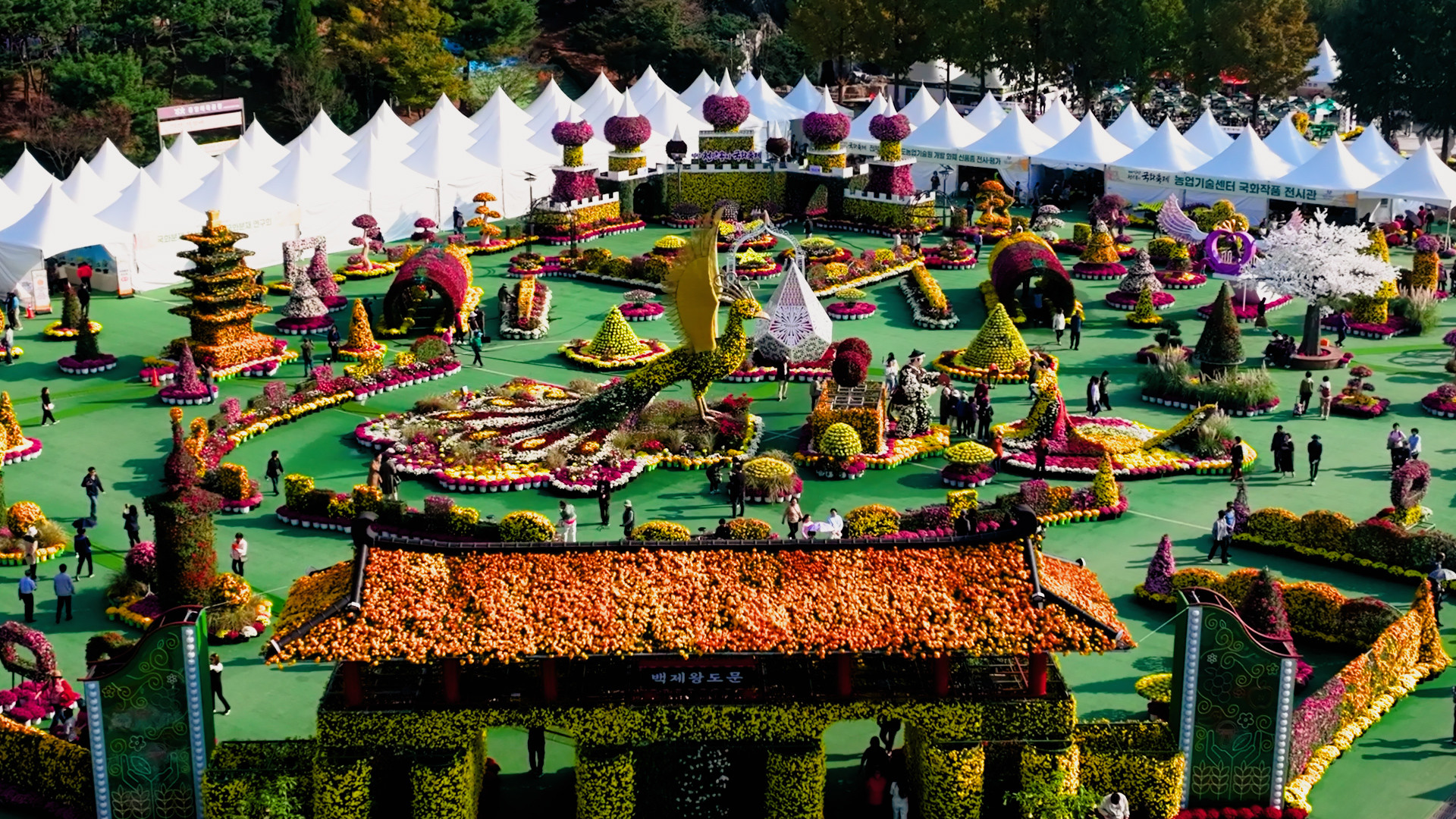 수정됨_드론 (1).jpg