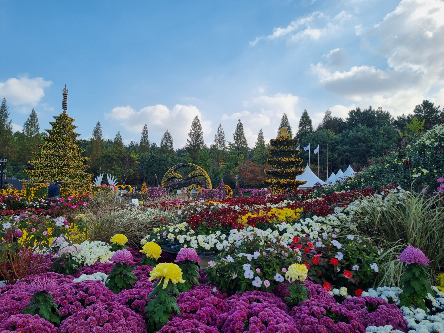 수정됨_중앙체육공원 (8).jpg