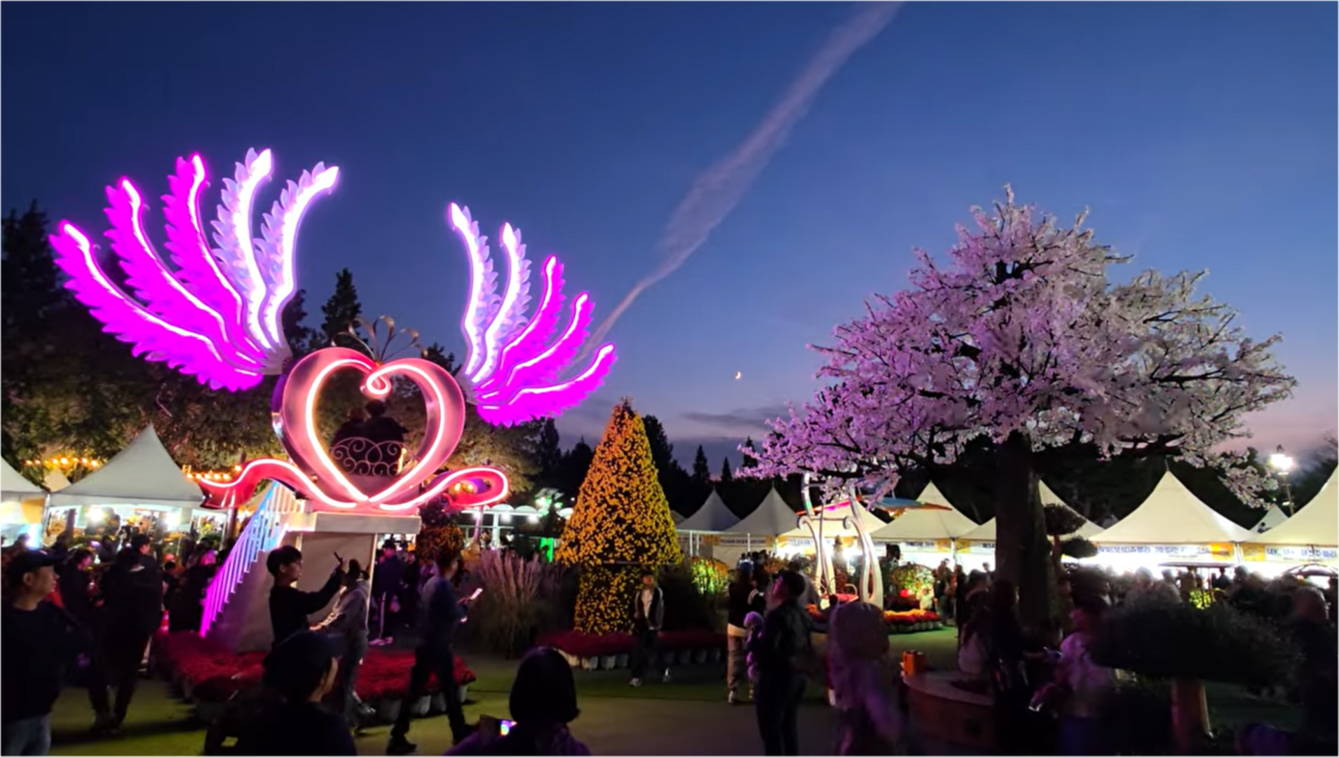 수정됨_야경 (1).png