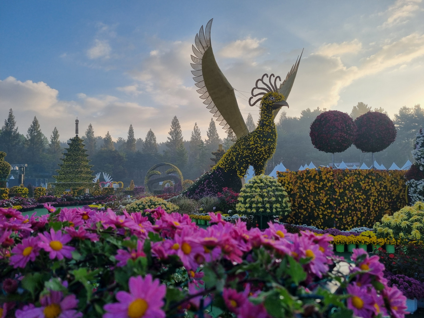 수정됨_중앙체육공원 (7).jpg