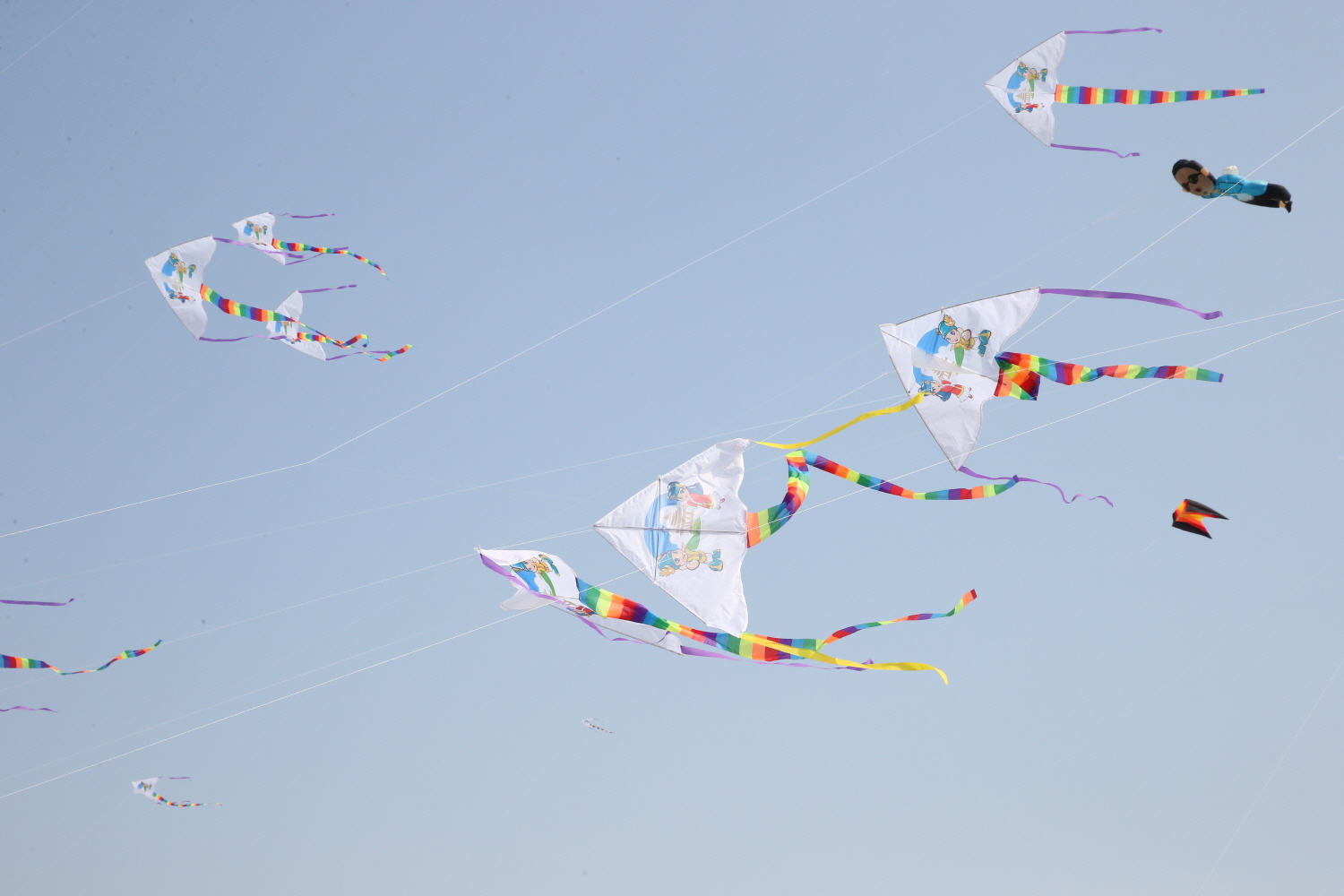 2월20일 2016 정월대보름 연날리기 대회 썸네일