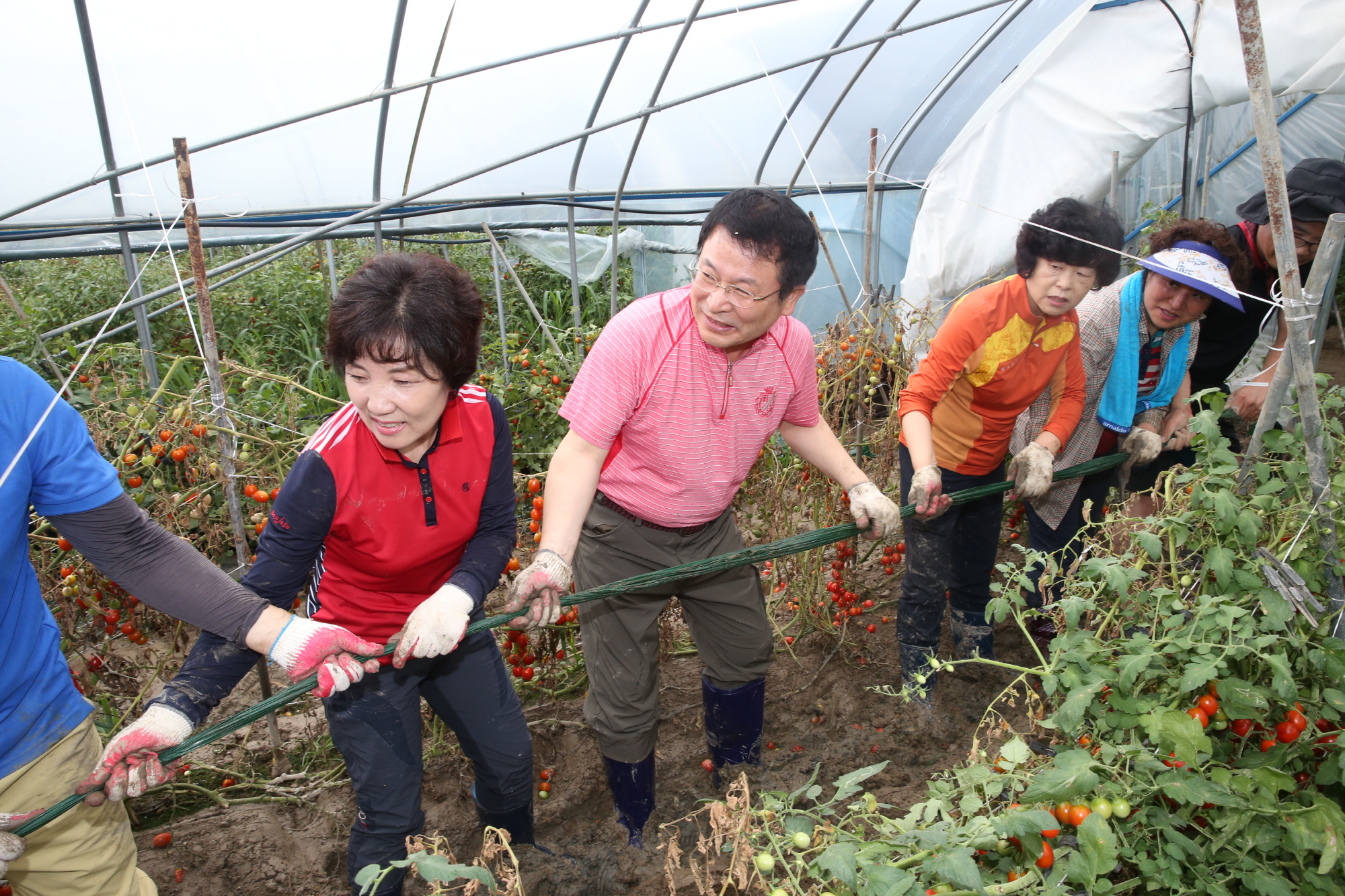 7월18일 정헌율 시장, 익산시 공무원 호우피해 농가 일손돕기 썸네일