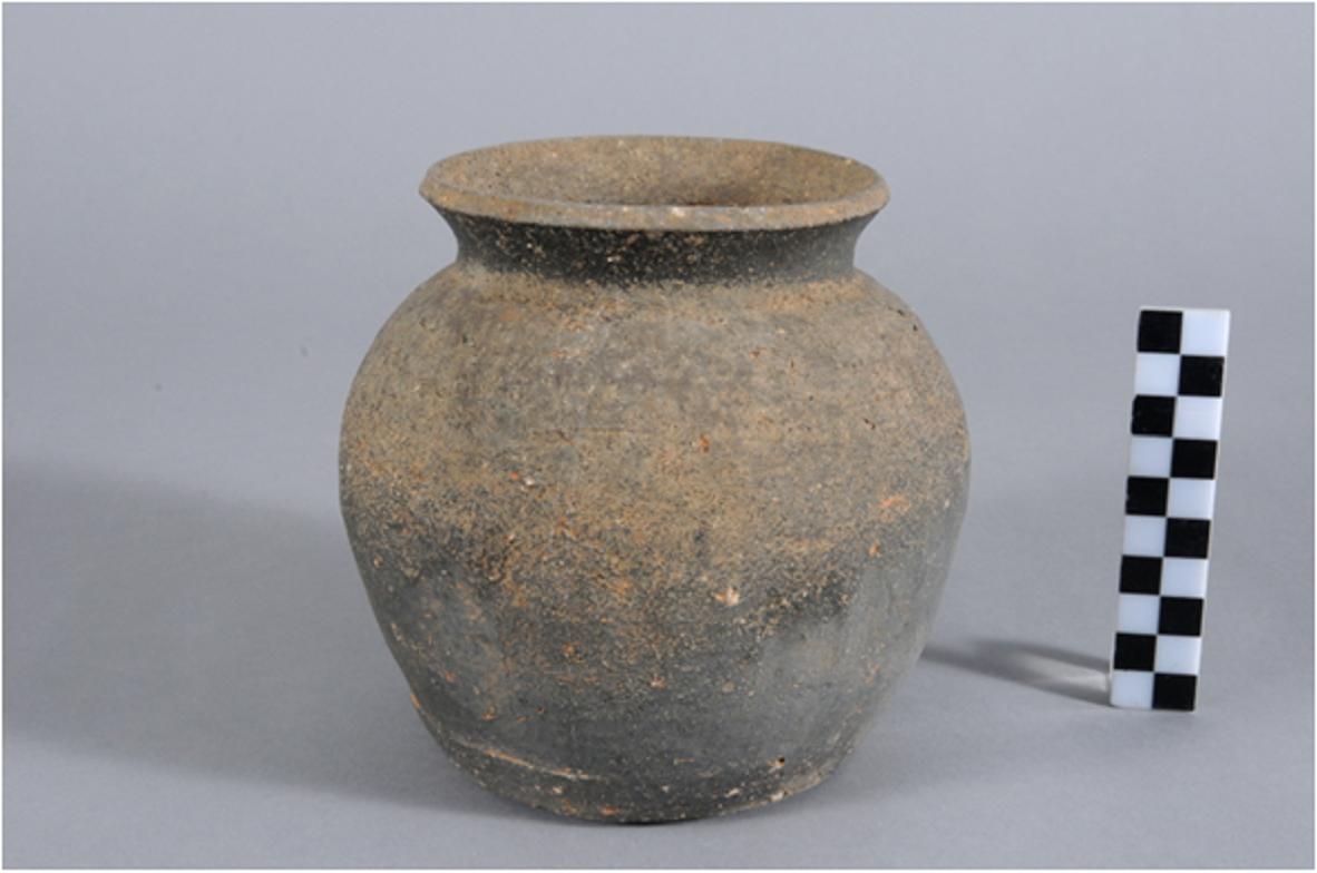 짧은 목 항아리 썸네일