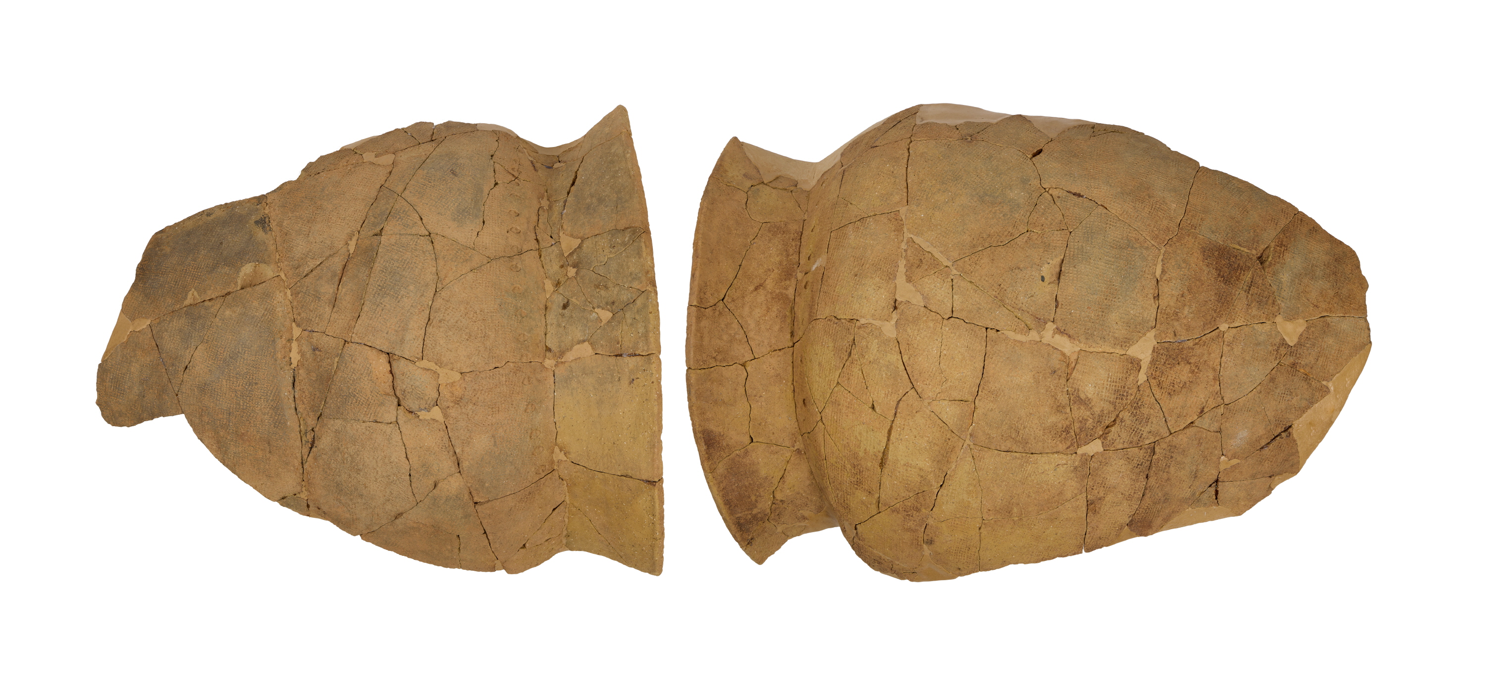 대형독널과 부장품 썸네일