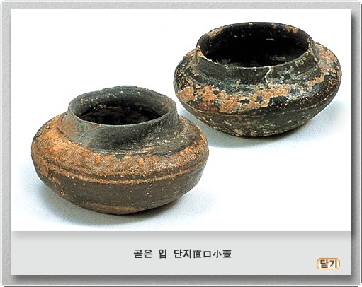 곧은 입 단지 썸네일