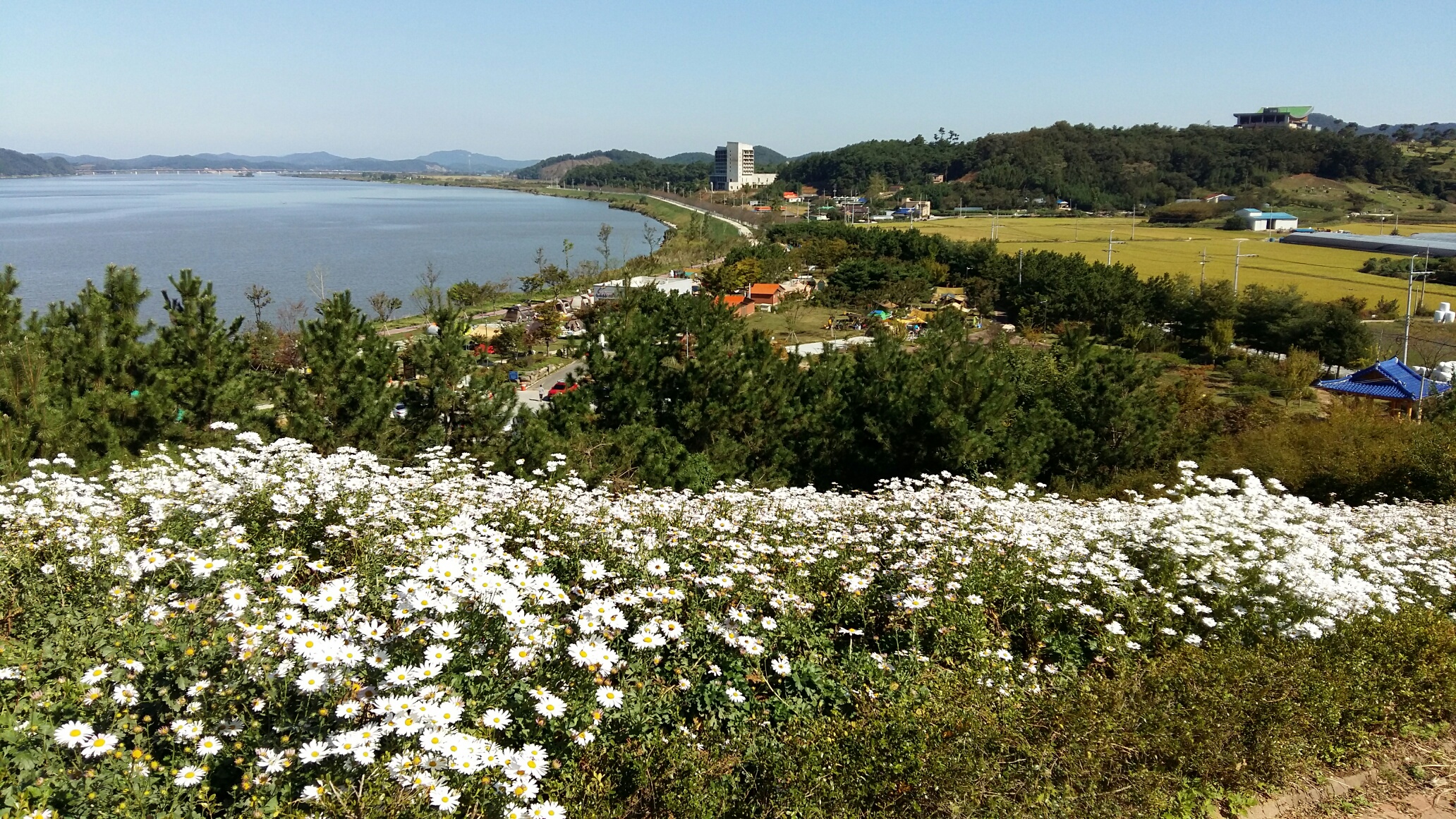 캠핑장 정경(금강정)_1.jpg