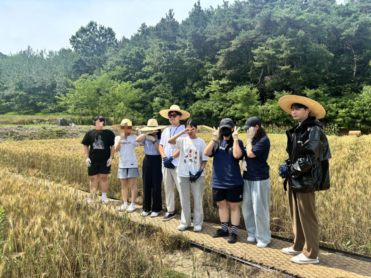 [6월 25일] 학교밖청소년 밀밭체험 썸네일