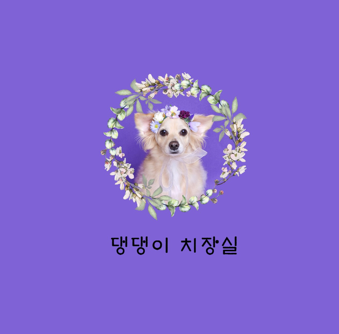 댕댕이 치장실 썸네일