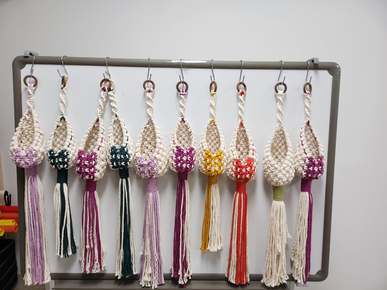 11월11일 특별 프로그램 썸네일