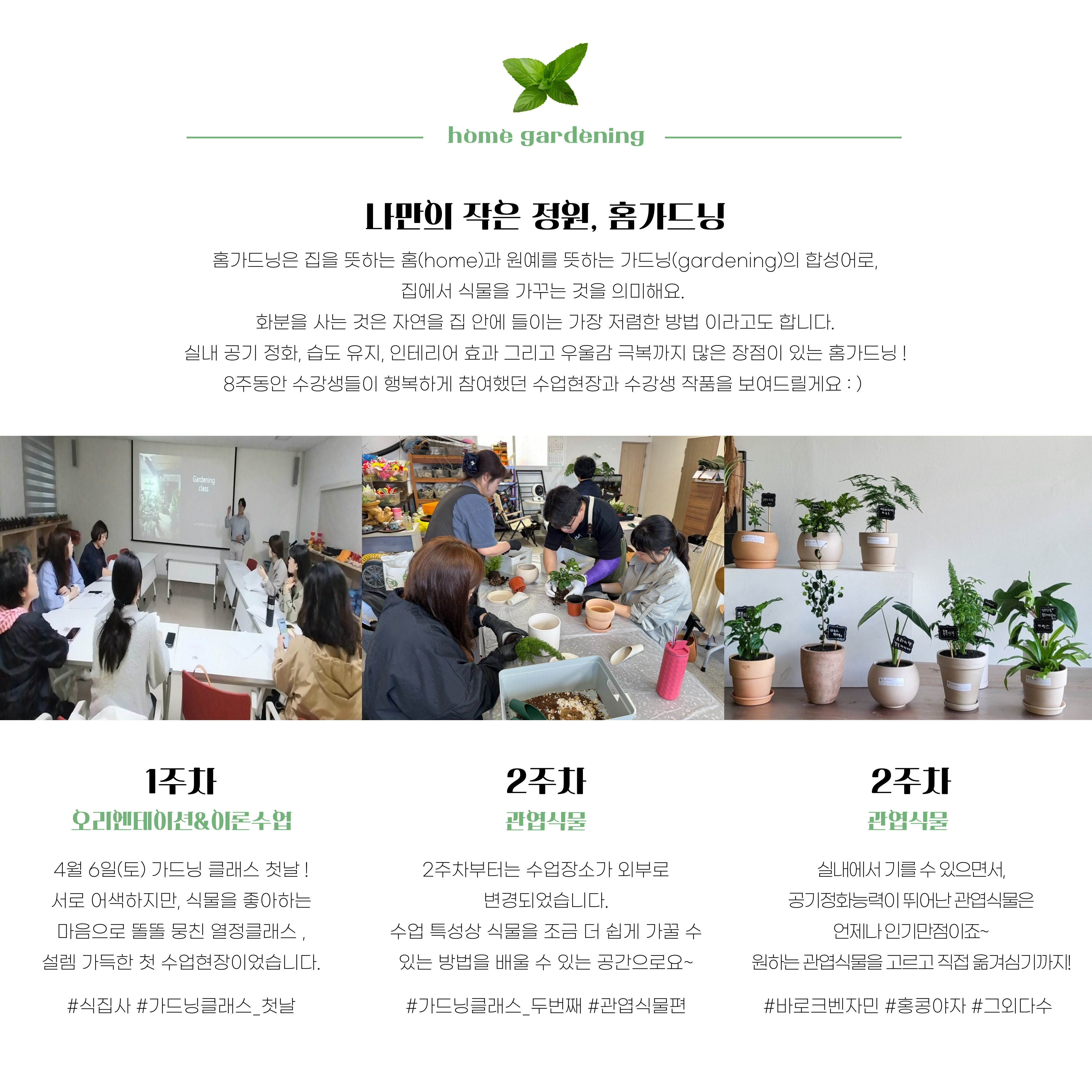 2024 글로벌문화강좌 <가드닝 클래스> 썸네일